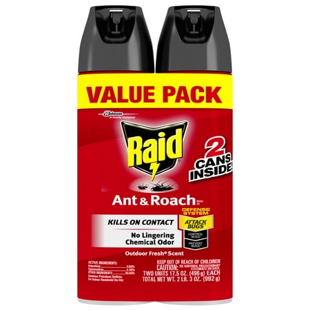 Raid Ant & Roach Killer 26, Outdoor Fresh, 17.5 oz, 2
