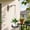 A, variant on Plant Hanger Indoor Outdoor, Hanging Planter for Indoor Outdoor Plants, Hanging Plant Holder Shelf, Plant Hanging Basket, Decorative Metal Flower Holder