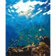 thumbnail image 1 of Cuadros Decorativos Underwater World DIY Picture By Numbers Kit Lienzo sin edad para decoración de paredes Wdftyju embutido en tela, 1 of 9