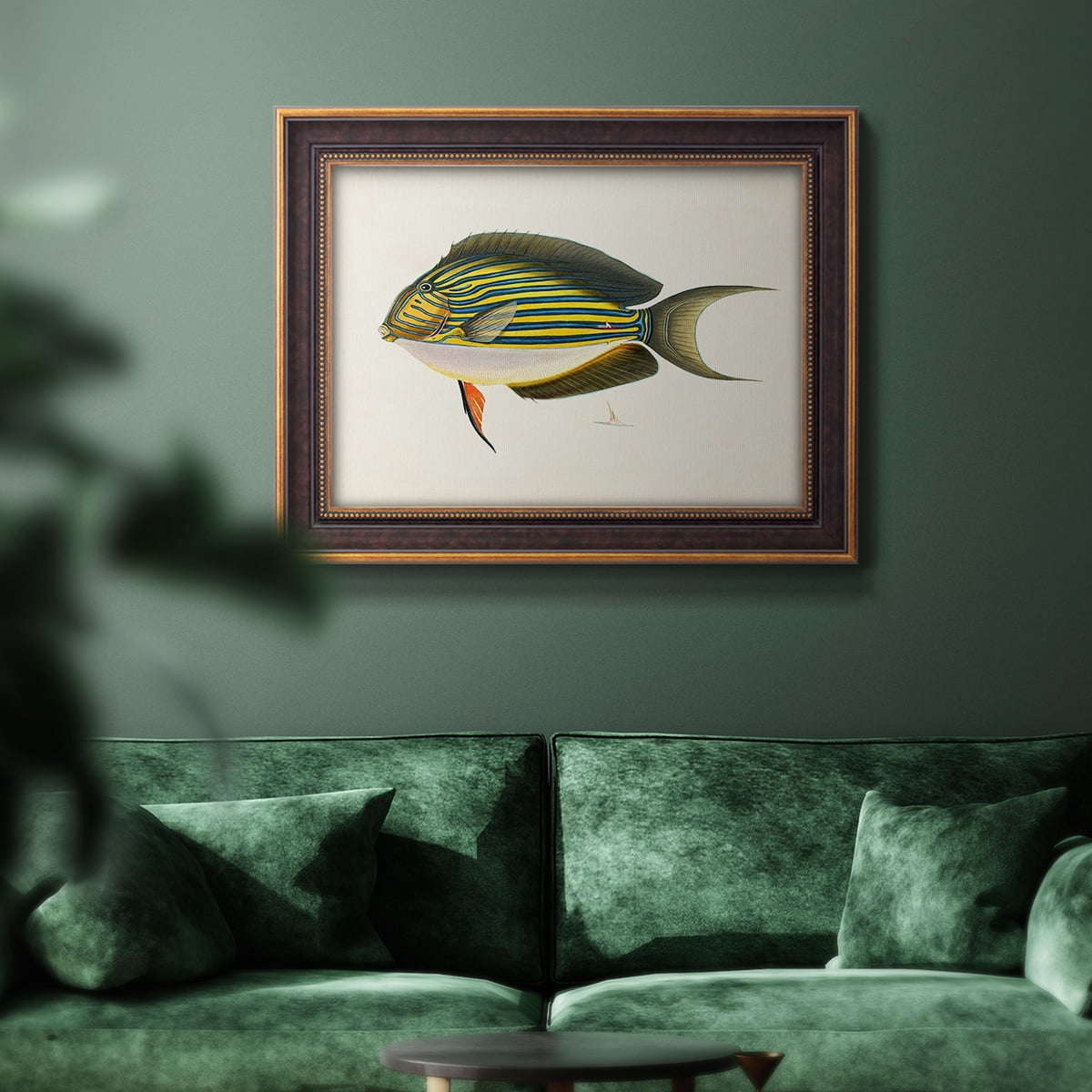 Tropical Fish Collection I Premium Framed Canvas- Ready to Hang