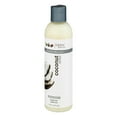 thumbnail image 3 of Eden BodyWorks Coconut Shea Moisture Shampoo 8 fl oz, 3 of 5