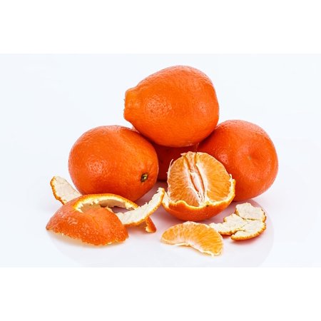 Canvas Print Honeybell Minneola Citrus Fruit Tangelo Oranges Stretched Canvas 32 x (Best Place Order Honeybell Oranges)