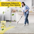 thumbnail image 3 of Aromasong Citrus Carpet Deodorizer Powder, 2 Pack, 26 oz, Natural Carpet Freshener, Safe for Pets, Odor Eliminator, 3 of 10