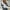 Black, variant on WXLWZYWL Bomber Jacket Women Plus Size 2024 Casual Floral Lightweight Jackets Trendy Zip Up Coat Outwear with Pockets