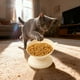 thumbnail image 5 of Comedero de plástico para gatos y perros, comedero para gatos y bebedero, bebedero para mascotas, come ..., 5 of 9
