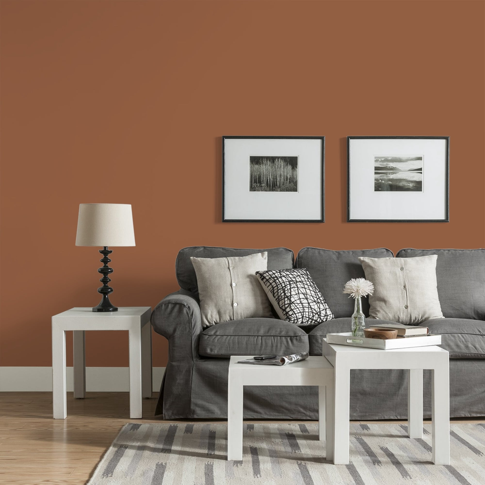 Glidden Fundamentals Cinnamon Spice / Orange, Eggshell Interior Paint, 1 Gallon