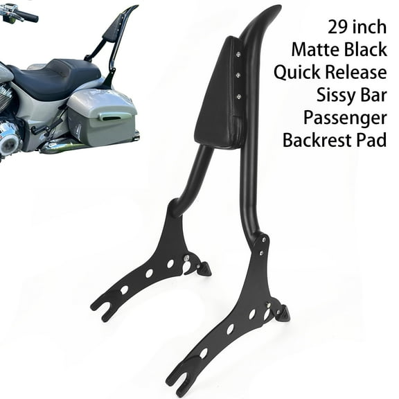 Fjpacemt Detachable Backrest Matte Black Sissy Bar for Motorcycle Indian Chieftain Roadmaster 14-24