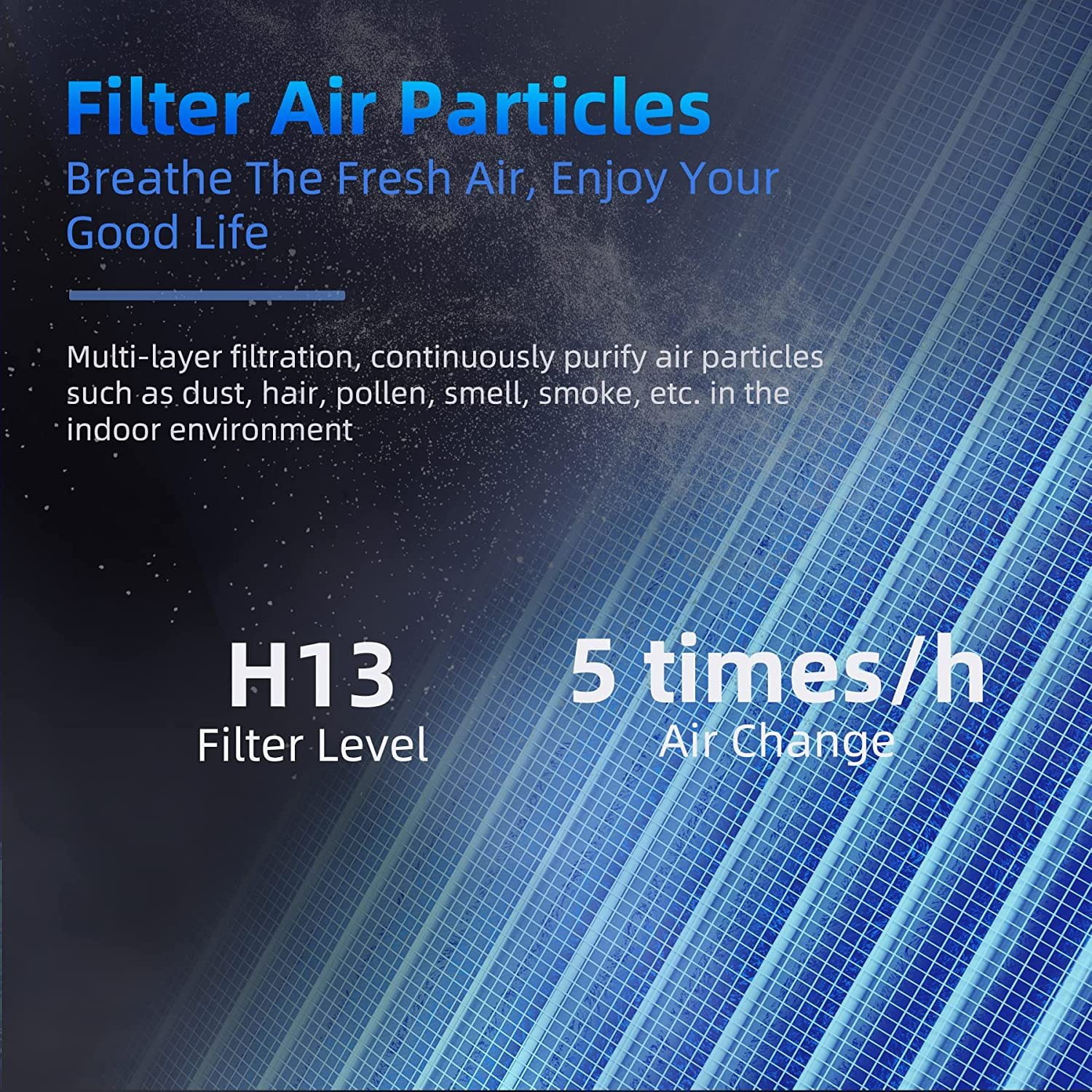 Olansi True HEPA Air Filters, Replacement Filters for Olansi A2D Air  Purifier, H13 Grade, 1 Pack 