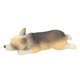 thumbnail image 2 of Terrarios de perro Corgi en miniatura, hadas, musgo, adorno de jardín, figura, planta 9, 2 of 9