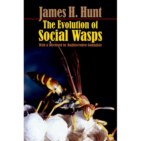 The Evolution of Social Wasps, (Paperback)