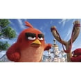 thumbnail image 4 of The Angry Birds Movie (DVD Sony Pictures), 4 of 5