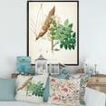 thumbnail image 2 of Designart 'Ancient Botanicals IX' Farmhouse Framed Canvas Wall Art Print, 2 of 5