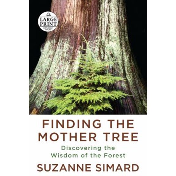Pre-Owned Finding the Mother Tree: Discovering the Wisdom of the Forest (Random House Large Print), 9780593459423, 0593459423, Paperback, Large type / Large print edition