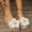 Beige, variant on Under $15 Sandals Women, Xunlbb Women's Summer New Casual Flat Flat Big Flowers To Wear Flat Beach Slippers(Black,35)
