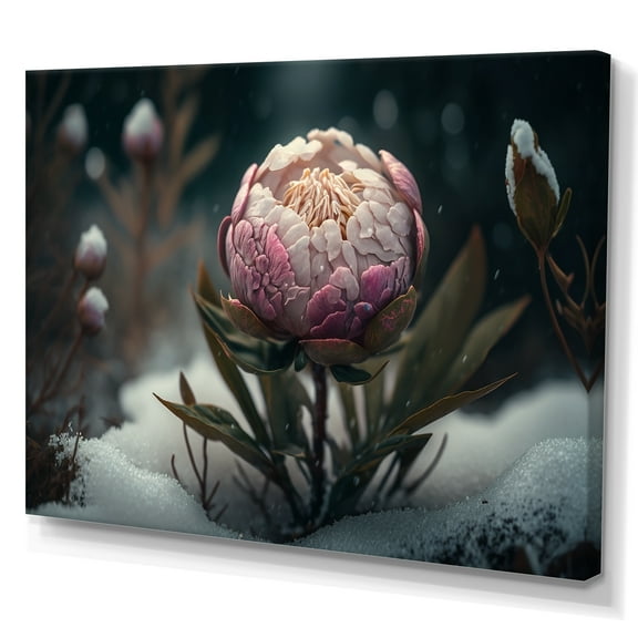 Designart A Blooming Pink Peony Flower In Winter II Canvas Wall Art