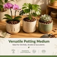 thumbnail image 3 of Tutuviw Orchid Bark Potting Mix Pine Bark Organic Orchid Bark for Plants Natural Pine Bark Wood Chips for Houseplant Mulch,Orchid Plants Root Development, Horticultural Mulch for Plants (0.1-0.3), 3 of 5