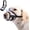 black&grey, variant on Dog Muzzle with Escape-Proof Elastic Neck Collar, Soft Breathable Air Mesh Mouth Cover Stops Biting Barking Chewing Allows Drinking Panting, Adjustable Muzzle for Small Medium Large Dogs