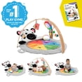 thumbnail image 2 of Baby Einstein Zen's Activity Milestones Plush Gym with Wooden Bar, for Infant to Toddler, 0-12 Months, Machine Washable, 2 of 5