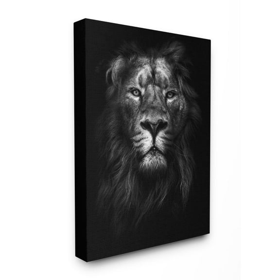 The Stupell Home Decor Collection King of the Jungle Lion In Shadows Black and White Photography Canvas Wall Art
