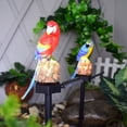 thumbnail image 3 of Lámpara solar de loro - Iluminación solar para jardín, terraza, césped, patio, entrada - Resina sólida, lámparas de pájaros de bajo consumo - Decoraciones de animales con LED blancos, 3 of 4