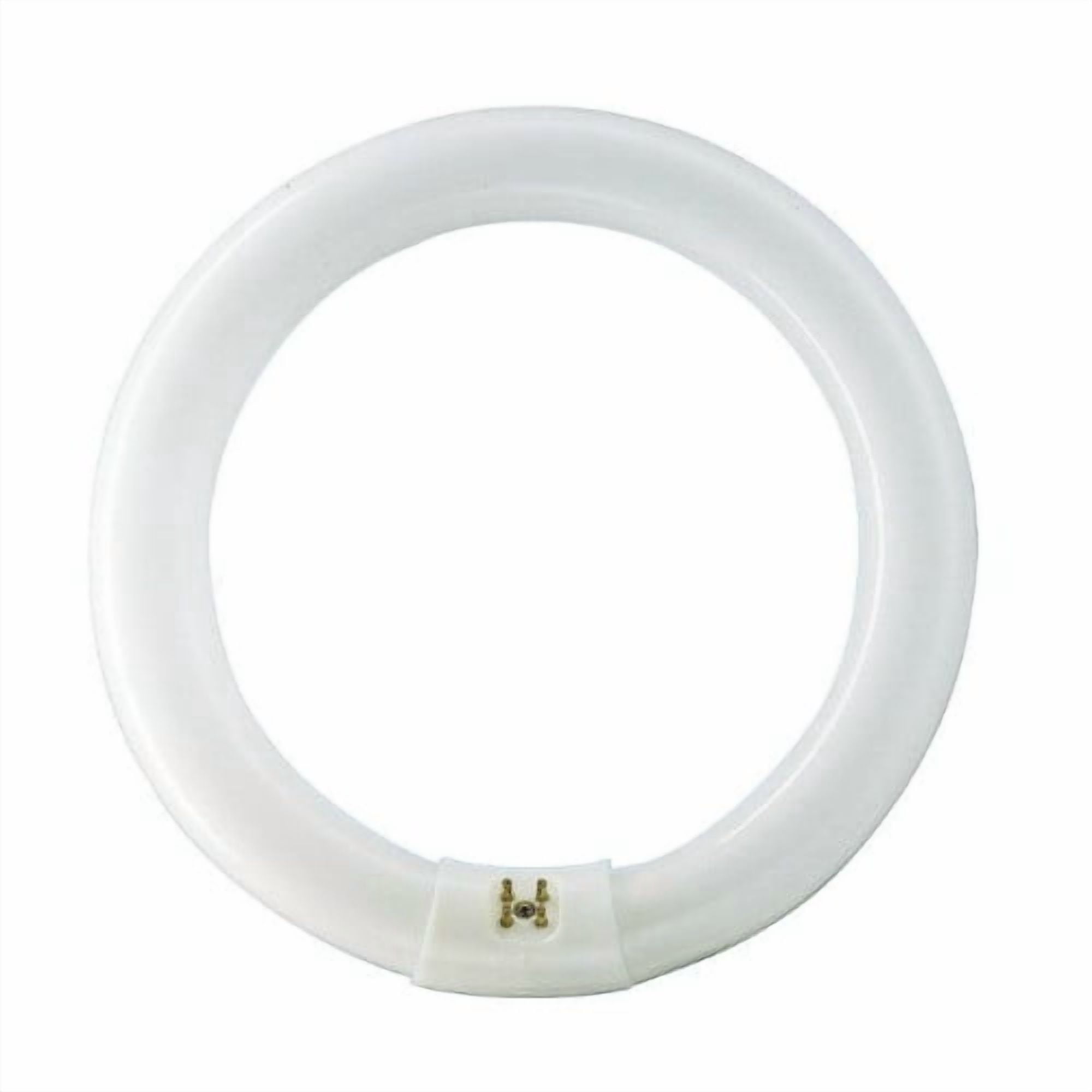 Philips 391169 FC8T9 22W 8-Inch T9 Circline Fluorescent Bulb, Cool White, 4-Pin Base