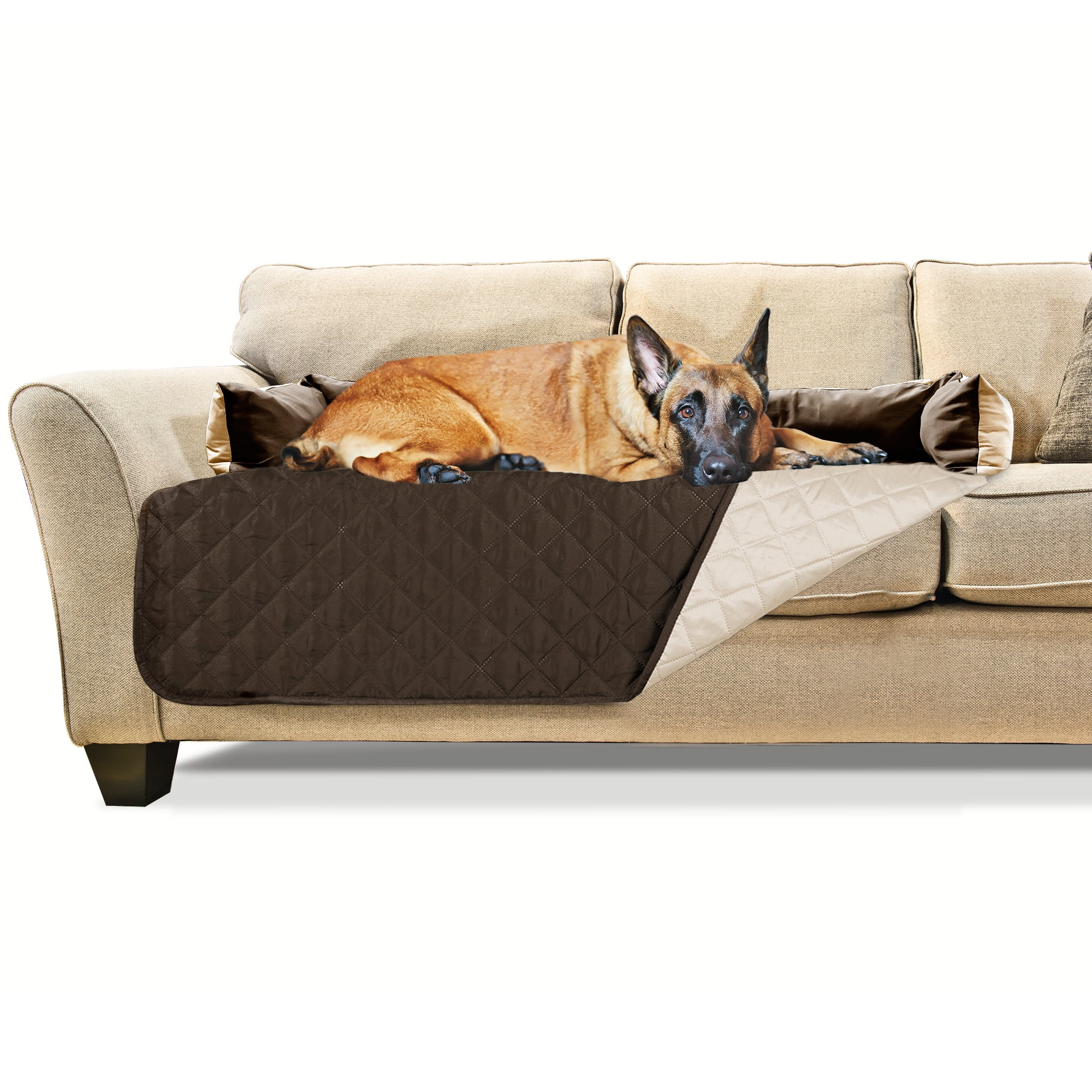 extra large dog couch