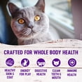 thumbnail image 3 of Wellness Complete Health Natural Grain Free Deboned Chicken & Chicken Meal Dry Kitten Food, 2.25 Pound Bag, 3 of 8