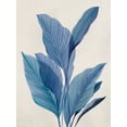 thumbnail image 2 of Aria K 15x18 White Modern Wood Framed Museum Art Print Titled - Blue Palm Leaves I, 2 of 4