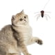 thumbnail image 3 of GOOHOCHY 2 juguetes interactivos para gatos: Repuestos de insectos para gatos, accesorios de repuesto, palo de juguete de cuerda larga, para enriquecer el interior de tu mascota., 3 of 7