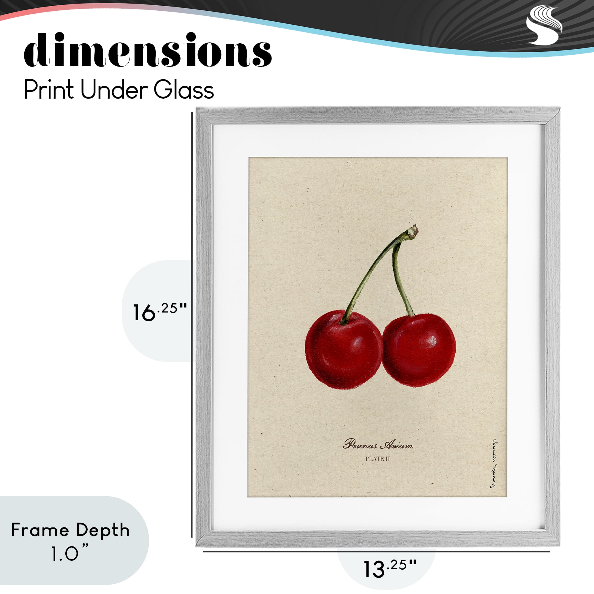 Stupell Industries Cherry Fruit Portrait Gray Framed Print Under Glass, design by Danielle Murray
