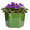 Green, variant on Dphagesy 6 inch Blue Self Watering African Violet Pot with Water Reservoir, Porous Ceramic Inner Pot, Bottom Watering Indoor Planter, Keeps Leaves Dry(Plants Are not Included)