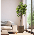 thumbnail image 3 of Artificial Trees, 5ft Artificial Fiddle Leaf Fig Tree in Handwoven Handled Basket by LCG Florals, Fake Indoor Faux Tree for Living Room, Office, & Home Decor, 3 of 10
