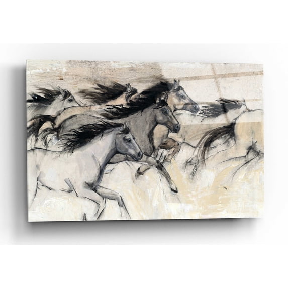 Epic Art 'Horses in Motion I' by Tim O'Toole, Acrylic Glass Wall Art, 16"x12"