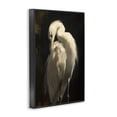 thumbnail image 2 of Stupell Industries Coastal Feathered Egret in Soft Light Black Framed Giclee Art, 12 x 18, by Petals Prints Design, 2 of 8