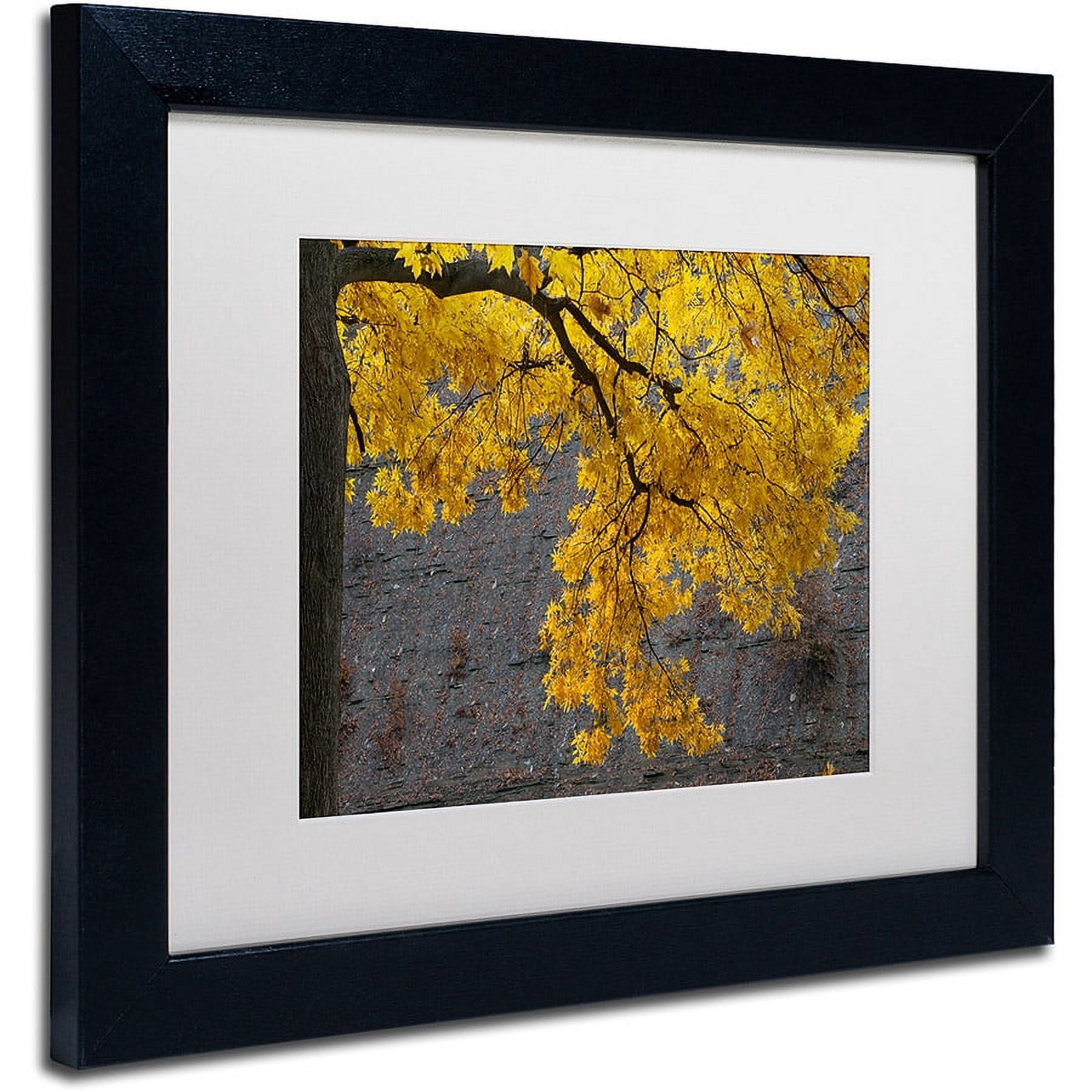 Trademark Fine Art "Golden Autumn Color" Canvas Art by Kurt Shaffer, White Matte, Black Frame