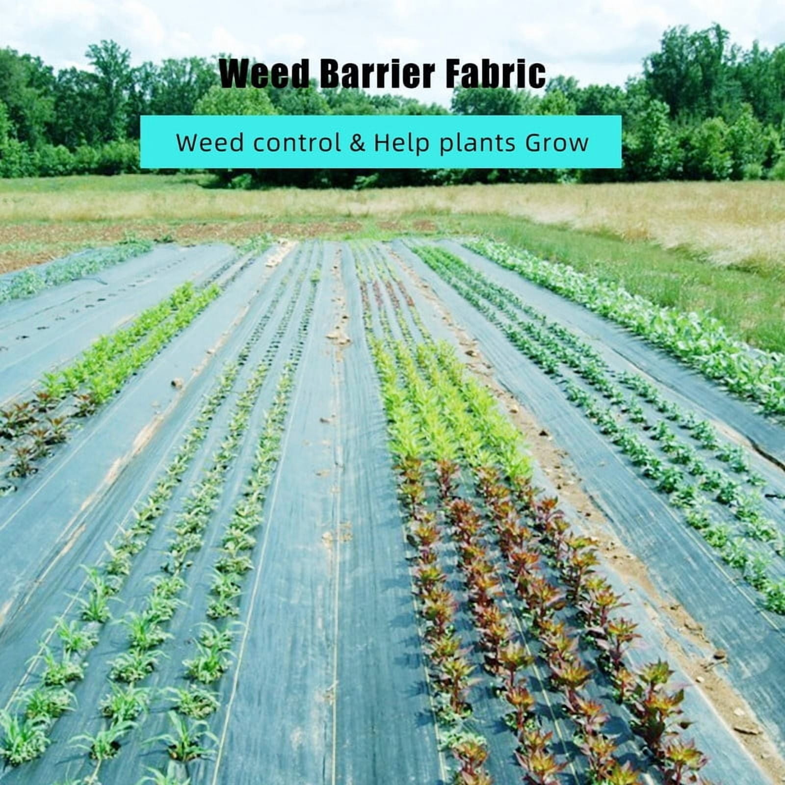 Towallmark Weed Barrier Landscape Fabric, 3FT X 300FT 3.24oz Heavy Duty Ground Cover, High Permeability Weed Control Fabric For Flower Beds Driveways Gardens