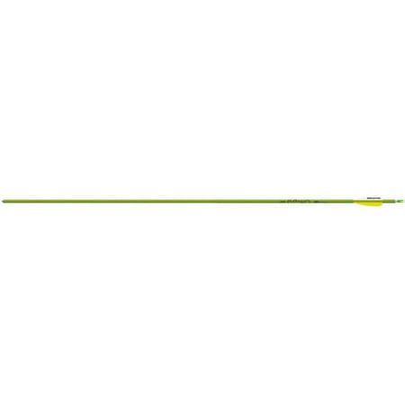 Easton Genesis V2 Arrow, Pack of 6, 1820, Green