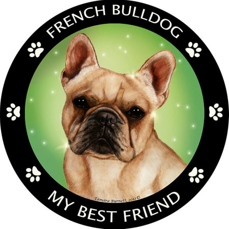 French Bulldog My Best Friend Magnet (French Bulldog Allergies Best Food)