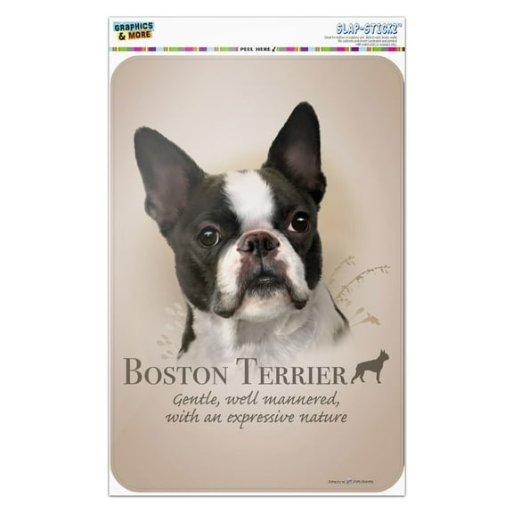 Boston Terrier Dog Breed Home Business Office Sign
