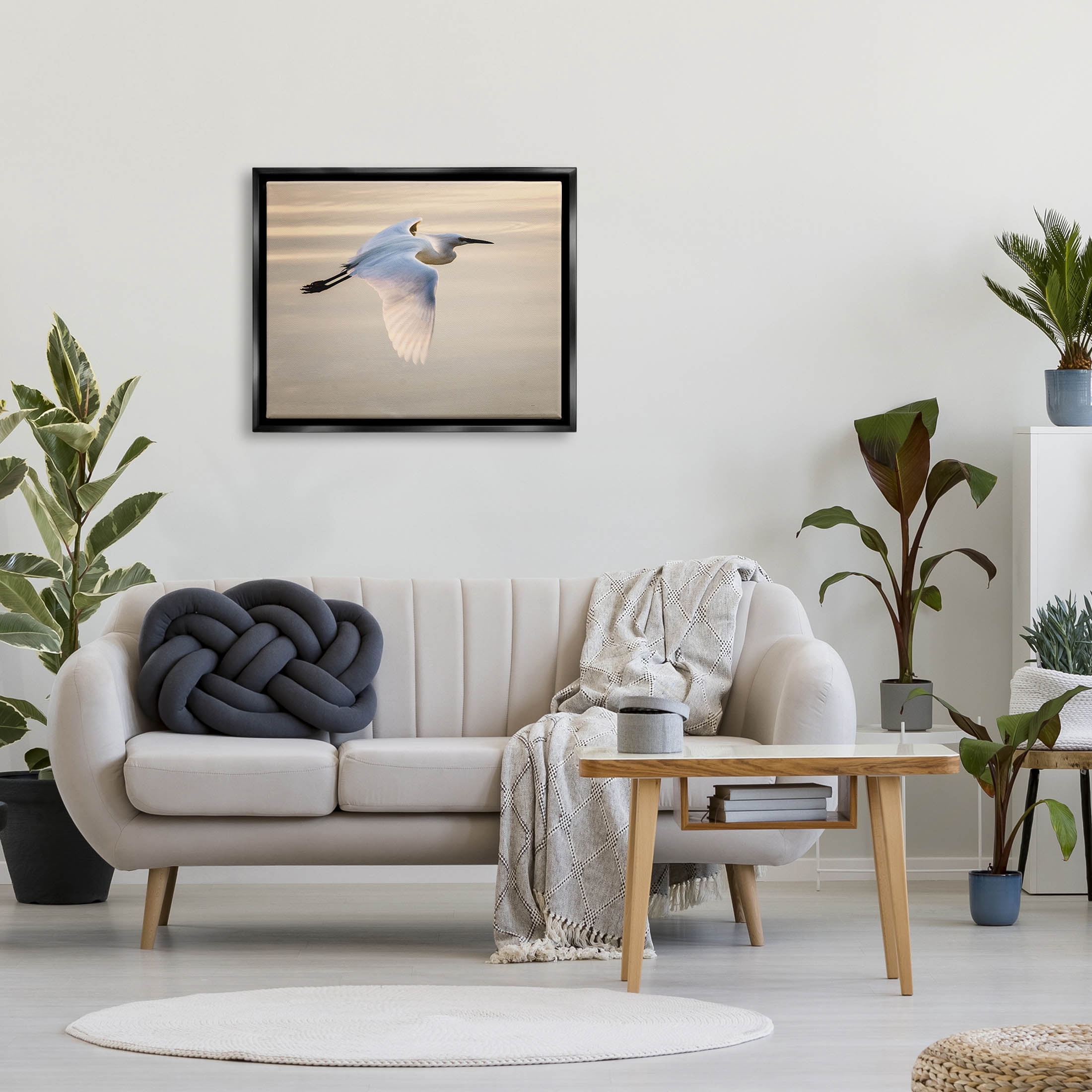 Egret Gliding Aerial View Animals & Insects Photograph Jet Black Framed Art Print Wall Art