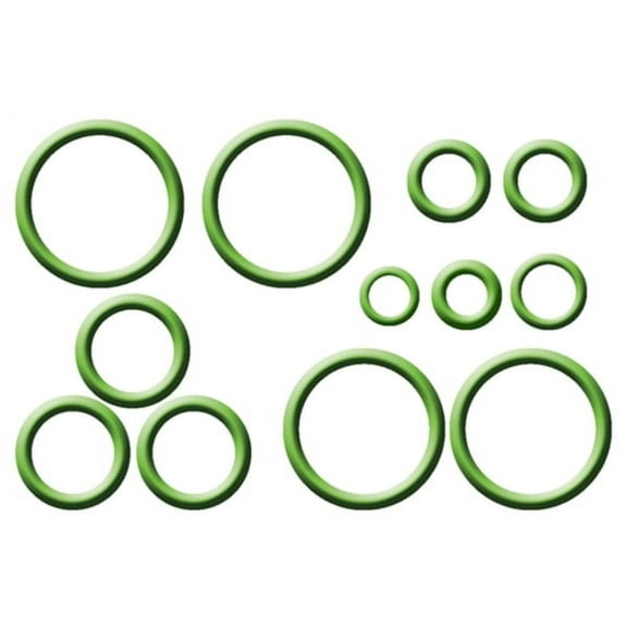 Four Seasons A/C System O-Ring and Gasket Kit P/N:26733 Fits select: 1991-1996 BUICK ROADMASTER, 1987-1988 BUICK LESABRE