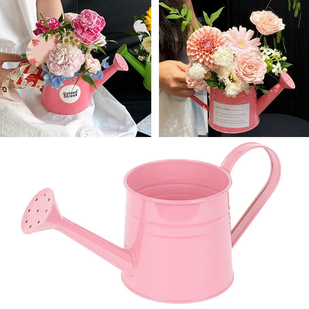 Metal Watering Can, 1L Vintage Sprinkling Can Plant Watering Cans for Outdoor Indoor Plants, Retro Sprinkling Cans for Flowers, Indoor & Outdoor Plants, Lawn & Garden Irrigation Tool - White