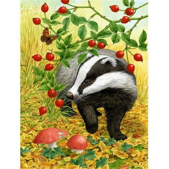 Badger Flag Garden Size