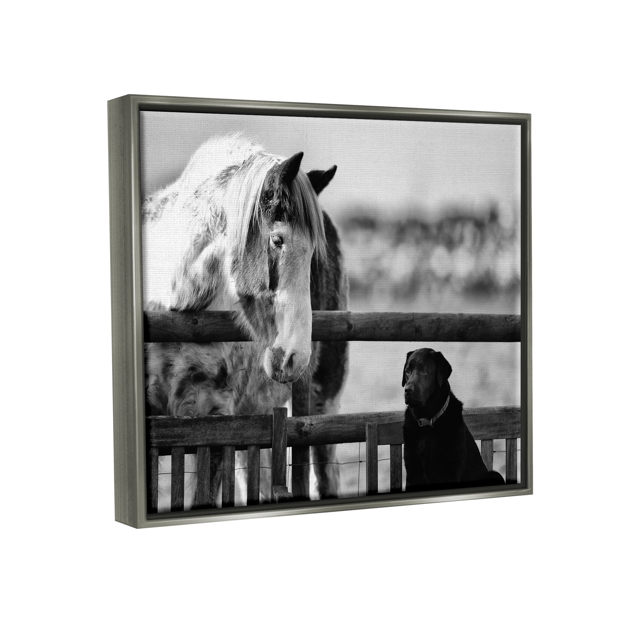 Stupell Industries Dog & Horse Farm Animal Friends Monochrome Photography Photograph Luster Gray Floating Framed Canvas Print Wall Art, Design by James Dobson