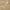 Beige, variant on SAFAVIEH Riviera Comgan Solid Plush Polyester Shag Area Rug, Light Grey, 3' x 5'