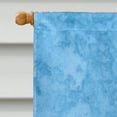 thumbnail image 3 of Carolines Treasures SS4113CHF 28 x 40 Po. Rat Terrier Drapeau Toile - Taille Maison, 3 of 4