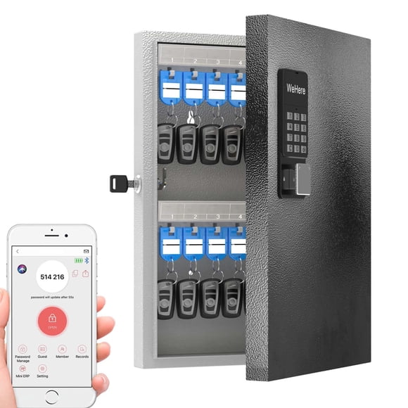 Caja de seguridad con llave, soporte de pared, 32 llaves, apertura OTP inteligente