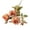 Coffee, variant on Neinkie Red Roses Fresh Flowers Delivery by Friday, Roses for Delivery, Farmhouse Flowers, Long Stem Roses Bouquet of Flowers, Fresh Cut Valentine Flowers for Delivery