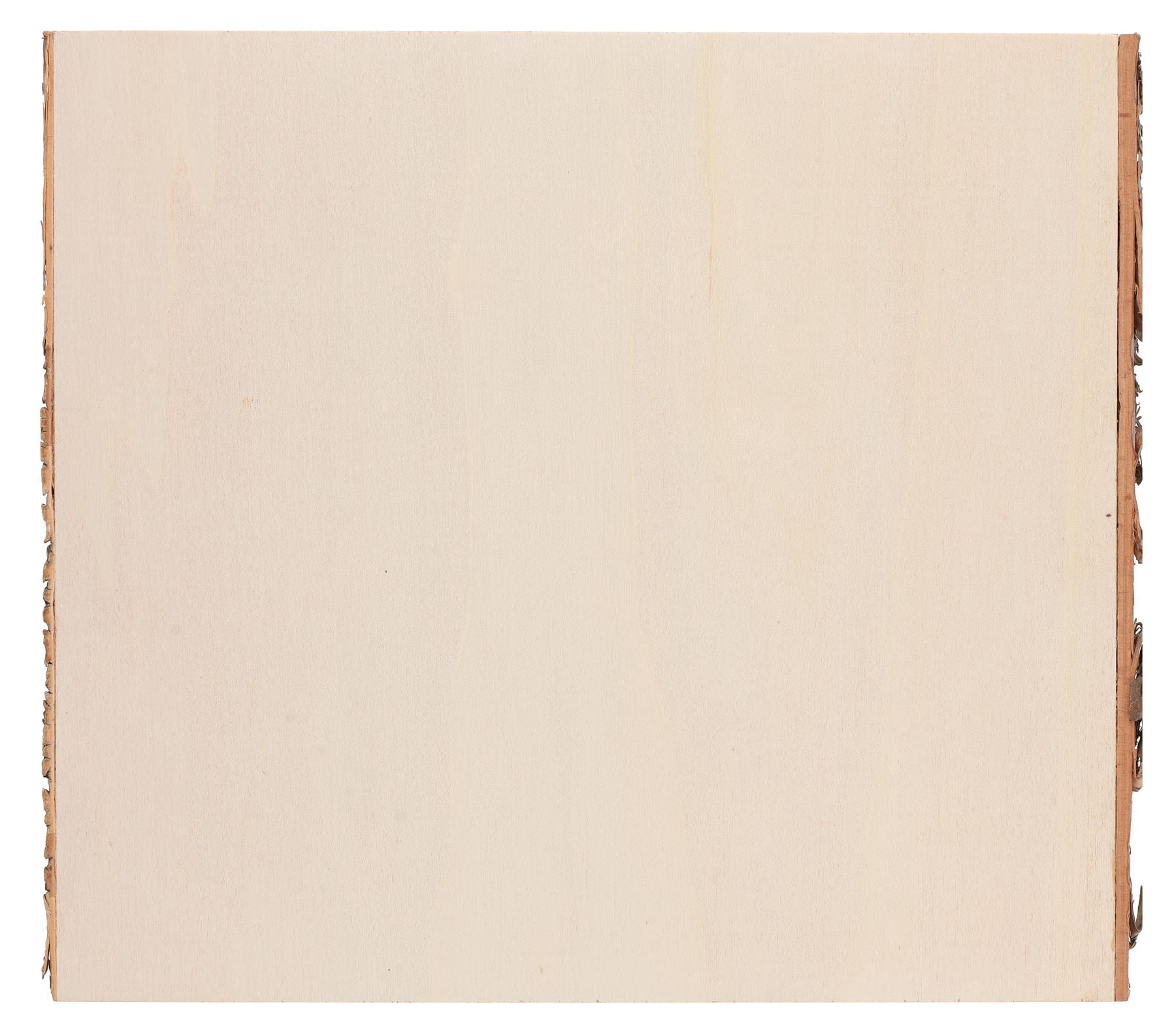 (2 pack) Hampton Art Basswood Rectangle W/Bark, Wood Plank, Live Edge Wood Slab, Walnut Wood, Planks, Wooden Plank, Planks For Shelves, Planks For Crafting, Slabs Crafts, 9"X 10.25"