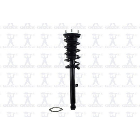 Suspension Strut and Coil Spring Assembly
